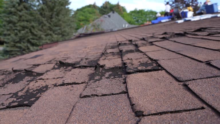 Best Wood Shake Roofing  in Averill Park, NY